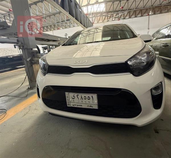 كيا بيكانتو 2023 للبيع في العراق - كربلاء